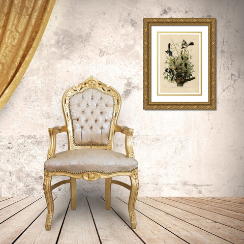 Mocking Bird Gold Ornate Wood Framed Art Print with Double Matting by Audubon, John James