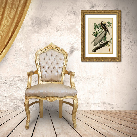 Brown Pelican Gold Ornate Wood Framed Art Print with Double Matting by Audubon, John James