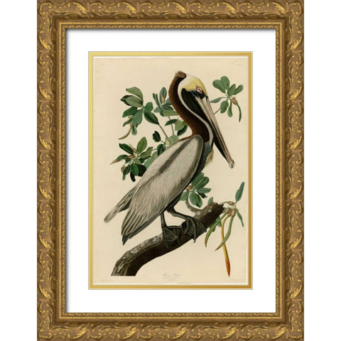 Brown Pelican Gold Ornate Wood Framed Art Print with Double Matting by Audubon, John James