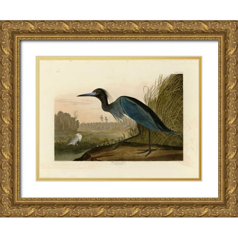 Blue Crane or Heron Gold Ornate Wood Framed Art Print with Double Matting by Audubon, John James
