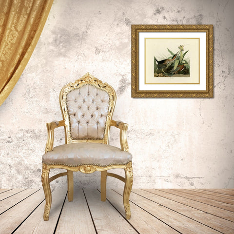 Green Heron Gold Ornate Wood Framed Art Print with Double Matting by Audubon, John James