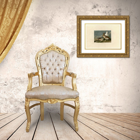 Rock Grouse Gold Ornate Wood Framed Art Print with Double Matting by Audubon, John James