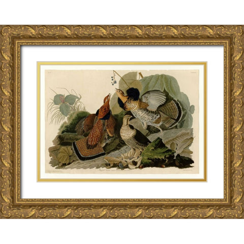 Ruffed Grouse Gold Ornate Wood Framed Art Print with Double Matting by Audubon, John James