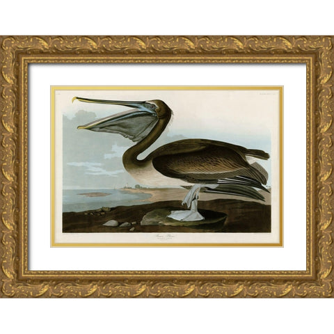 Brown Pelican Gold Ornate Wood Framed Art Print with Double Matting by Audubon, John James