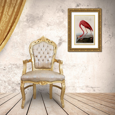 American Flamingo Gold Ornate Wood Framed Art Print with Double Matting by Audubon, John James