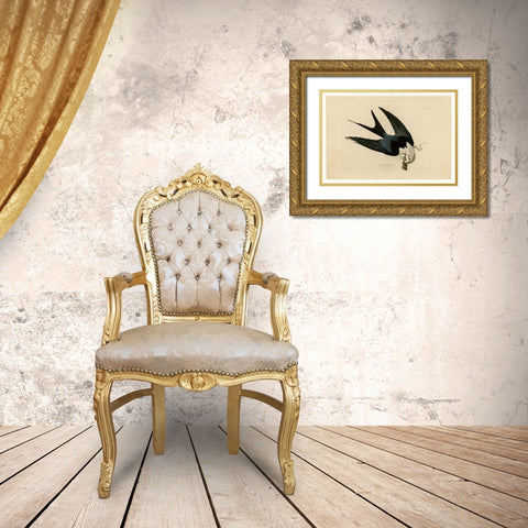 Swallow-Tailed Hawk Gold Ornate Wood Framed Art Print with Double Matting by Audubon, John James