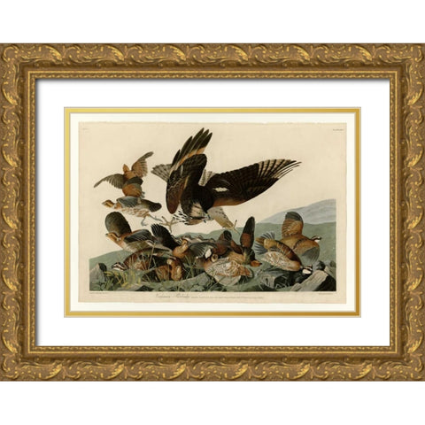 Virginian Partridge Gold Ornate Wood Framed Art Print with Double Matting by Audubon, John James