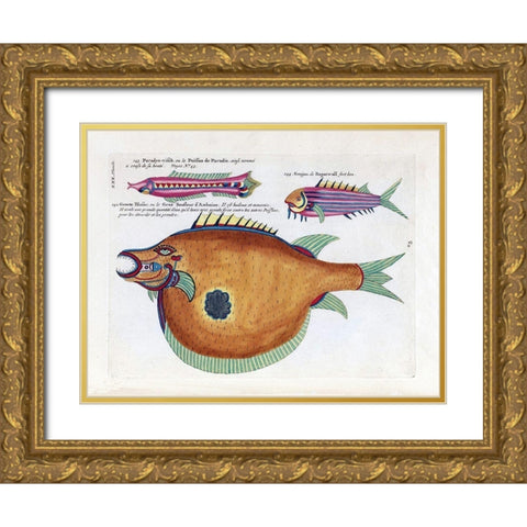 Poisson de Paradis Gold Ornate Wood Framed Art Print with Double Matting by Renard, Louis