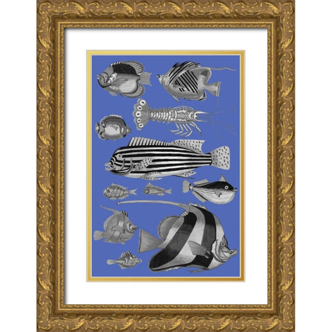 Tropical Fish Collage 1-Blue Blackground Gold Ornate Wood Framed Art Print with Double Matting by Renard, Louis