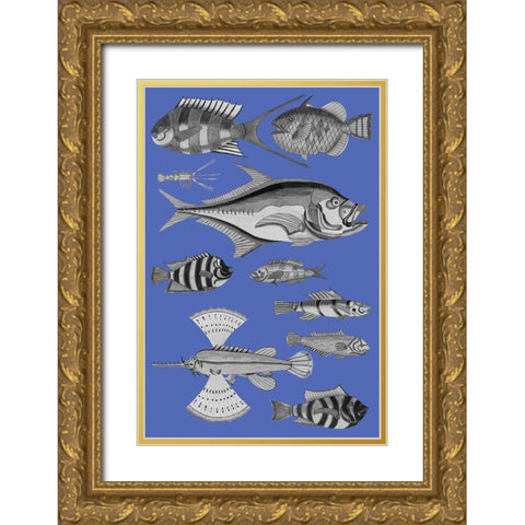 Tropical Fish Collage 2-Blue Background Gold Ornate Wood Framed Art Print with Double Matting by Renard, Louis