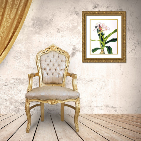 Crinium Hybridum Gold Ornate Wood Framed Art Print with Double Matting by Bury, Priscilla
