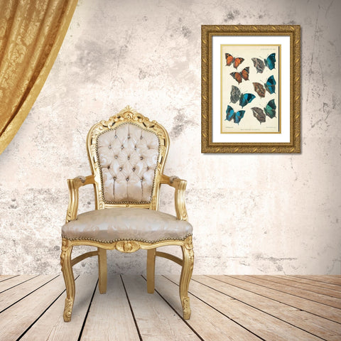 Butterflies, Paphia Gold Ornate Wood Framed Art Print with Double Matting by Rippon, Robert