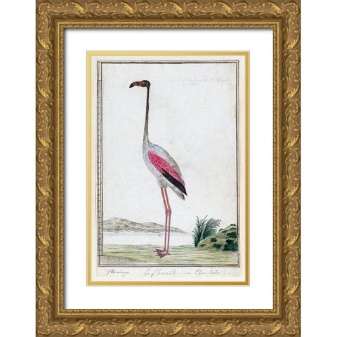 Flamingo Gold Ornate Wood Framed Art Print with Double Matting by Gordon, Robert James
