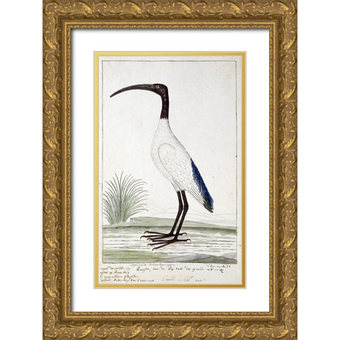 White Bird Gold Ornate Wood Framed Art Print with Double Matting by Gordon, Robert James