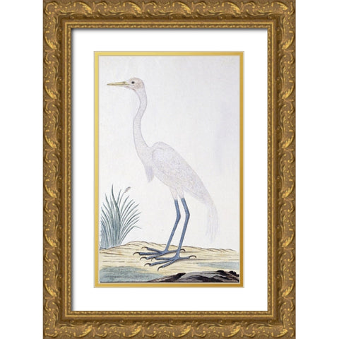 Egret Gold Ornate Wood Framed Art Print with Double Matting by Gordon, Robert James