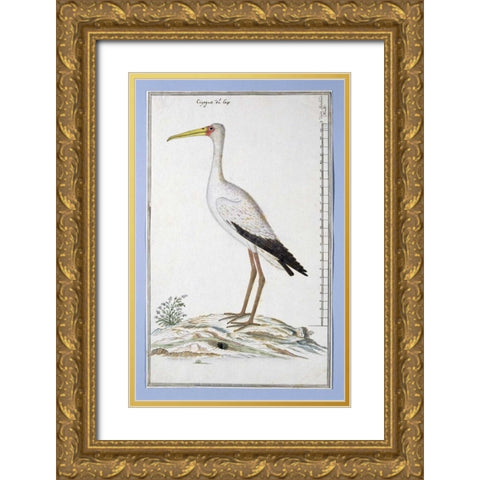 Stork Gold Ornate Wood Framed Art Print with Double Matting by Gordon, Robert J.