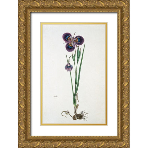Iris Gold Ornate Wood Framed Art Print with Double Matting by Gordon, Robert J.