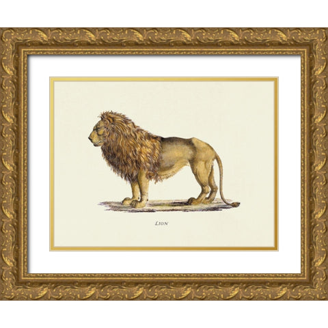 Lion Gold Ornate Wood Framed Art Print with Double Matting by Schinz, Heinrich Rudolf