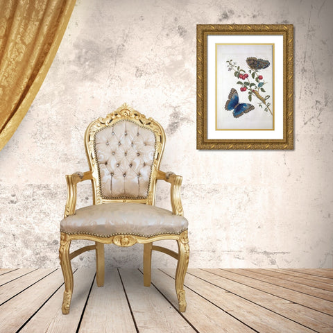 Tropical fruit,Butterflies, plate 2 Gold Ornate Wood Framed Art Print with Double Matting by Merian, Sybilla