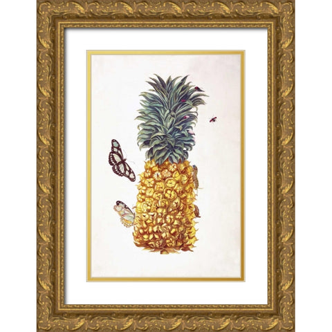 Pineapple, Butterflies, plate 11 Gold Ornate Wood Framed Art Print with Double Matting by Merian, Sybilla