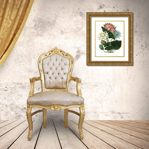 Lotus Gold Ornate Wood Framed Art Print with Double Matting by Hooker, William