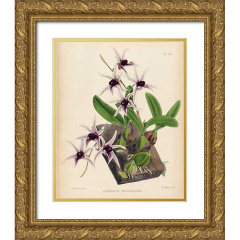 Orchid Gold Ornate Wood Framed Art Print with Double Matting by Fitch, Walter, Joseph