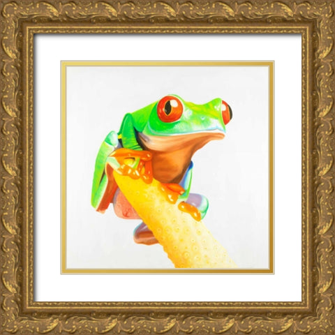 Curious Red-eyed Frog Gold Ornate Wood Framed Art Print with Double Matting by Atelier B Art Studio
