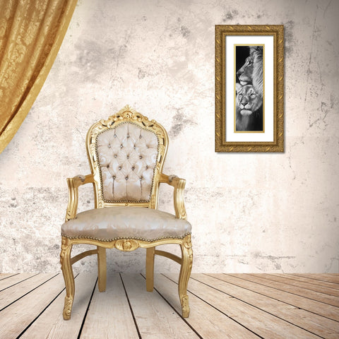 Lion and Lioness Gold Ornate Wood Framed Art Print with Double Matting by Atelier B Art Studio