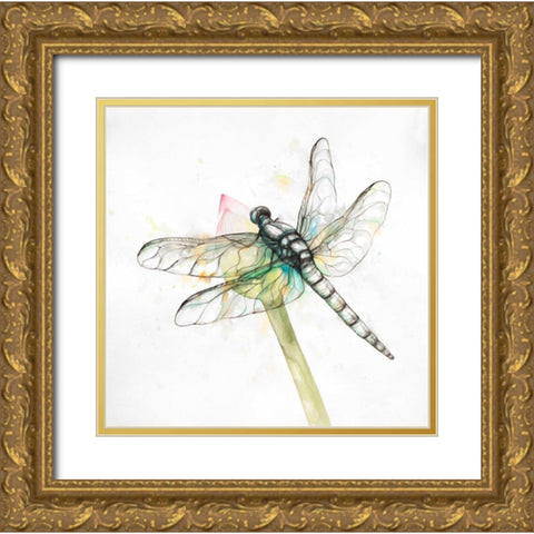 Dragonfly on a Flower Bud Gold Ornate Wood Framed Art Print with Double Matting by Atelier B Art Studio