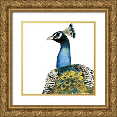 WATERCOLOR PEACOCK Gold Ornate Wood Framed Art Print with Double Matting by Atelier B Art Studio