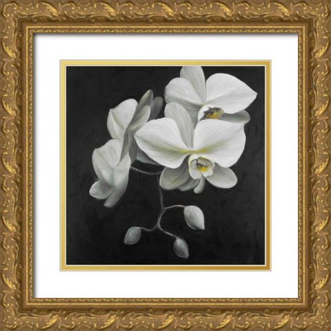 White Orchids Gold Ornate Wood Framed Art Print with Double Matting by Atelier B Art Studio