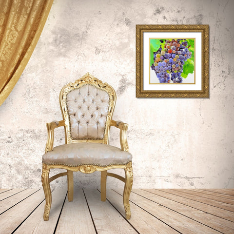 Bunch of Grapes Gold Ornate Wood Framed Art Print with Double Matting by Atelier B Art Studio