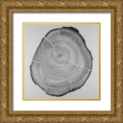 Grayscale Oval Shaped Tree Slab Gold Ornate Wood Framed Art Print with Double Matting by Atelier B Art Studio