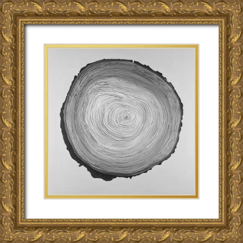 Grayscale Round Shaped Tree Slab Gold Ornate Wood Framed Art Print with Double Matting by Atelier B Art Studio