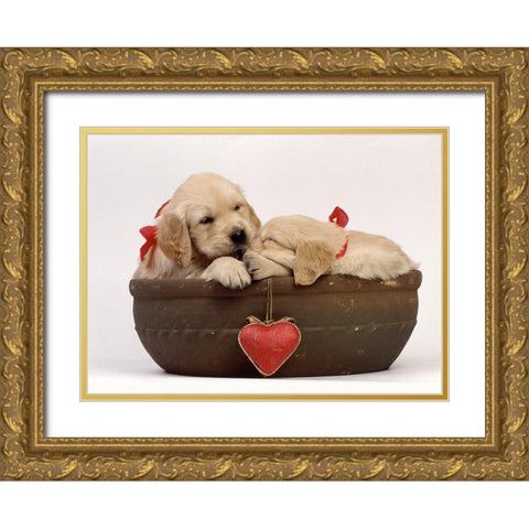 labradors in love Gold Ornate Wood Framed Art Print with Double Matting by Hoenderkamp, Patrick