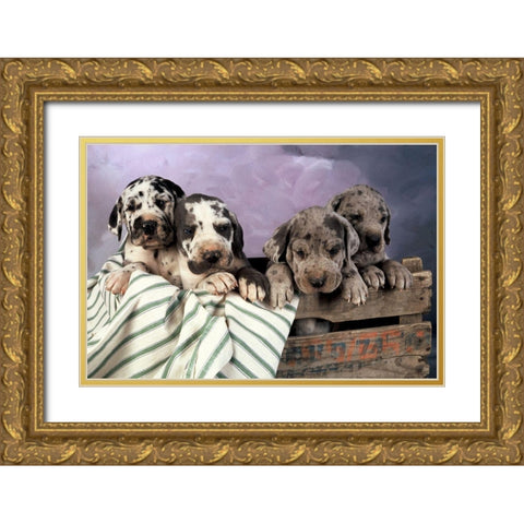 We are family Gold Ornate Wood Framed Art Print with Double Matting by Hoenderkamp, Patrick