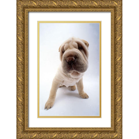 close up Gold Ornate Wood Framed Art Print with Double Matting by Hoenderkamp, Patrick