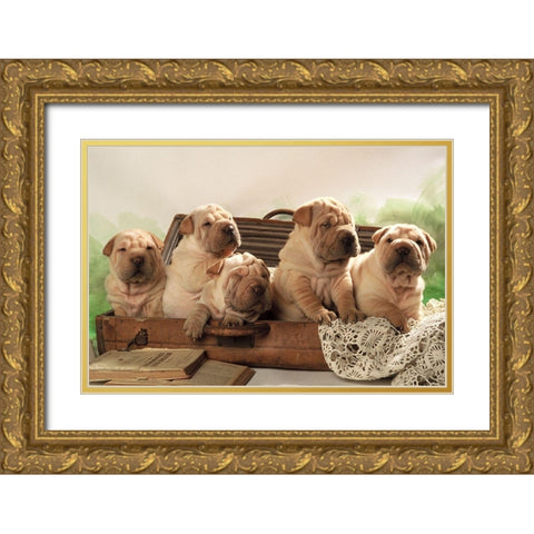 Ready to travel Gold Ornate Wood Framed Art Print with Double Matting by Hoenderkamp, Patrick