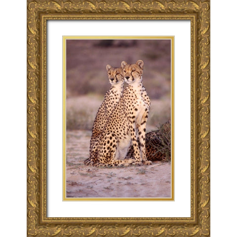 leopard Gold Ornate Wood Framed Art Print with Double Matting by Hoenderkamp, Patrick