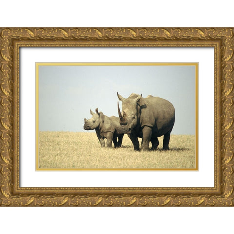 Rhino family Gold Ornate Wood Framed Art Print with Double Matting by Hoenderkamp, Patrick