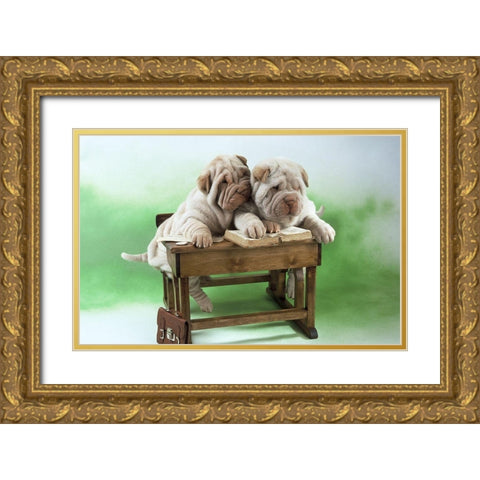 clever dogs Gold Ornate Wood Framed Art Print with Double Matting by Hoenderkamp, Patrick