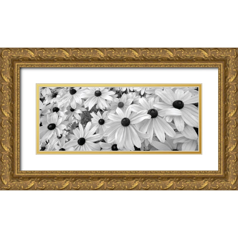 Black Eyed Susans Gold Ornate Wood Framed Art Print with Double Matting by Frates, Dennis