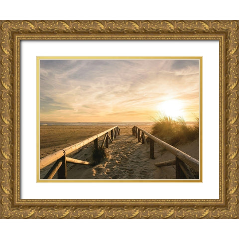 Beach Path to the Golden Sun Gold Ornate Wood Framed Art Print with Double Matting by Schaldach