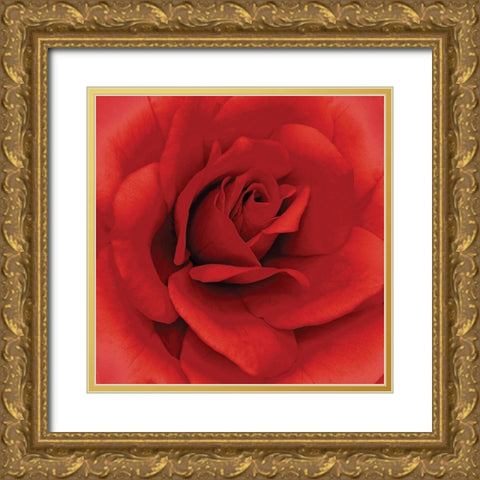 Anniversary Rose Gold Ornate Wood Framed Art Print with Double Matting by Kuchera, H