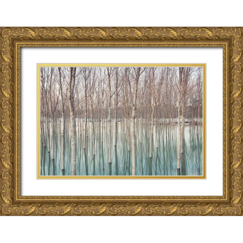 White Birches in the River  Gold Ornate Wood Framed Art Print with Double Matting by Ricordi, Andrea G.