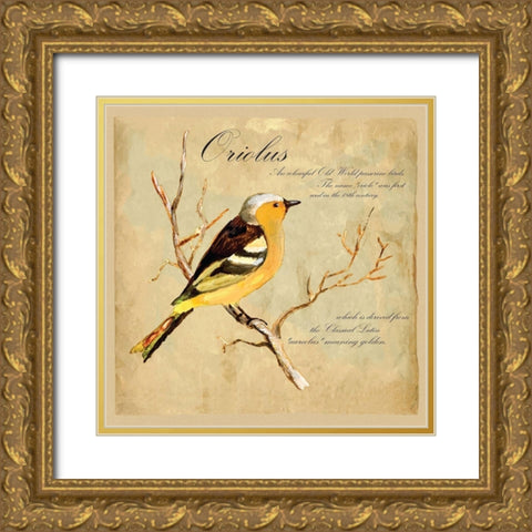 Oriolus Bird Illustration Gold Ornate Wood Framed Art Print with Double Matting by Kuco