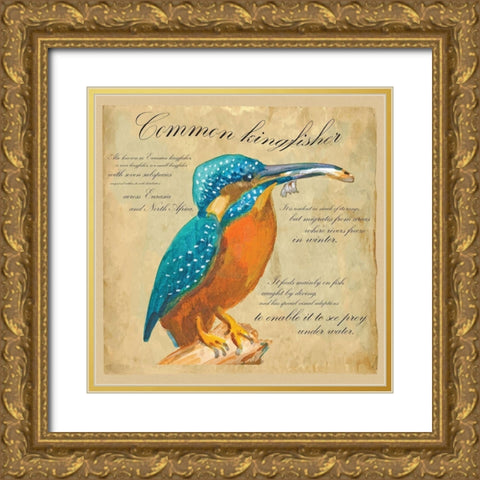 Common Kingfisher Gold Ornate Wood Framed Art Print with Double Matting by Kuco