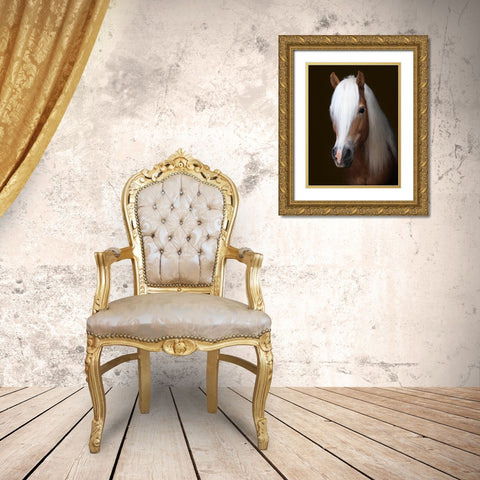 Stunning Stallion Gold Ornate Wood Framed Art Print with Double Matting by Baker, Nigel