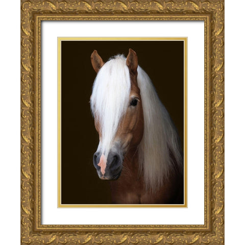 Stunning Stallion Gold Ornate Wood Framed Art Print with Double Matting by Baker, Nigel
