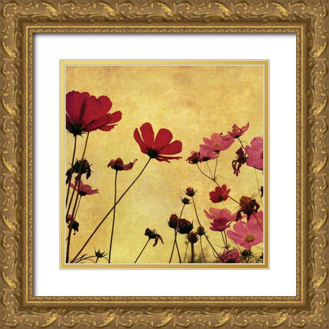 Country Poppies Gold Ornate Wood Framed Art Print with Double Matting by Anonymous